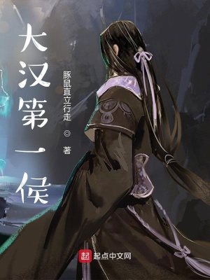 ��ʷС˵:�󺺵�һ��