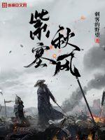 ��ʷС˵:�������