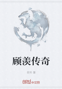 ����С˵:���۴���