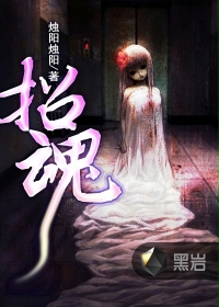 �ƻ�С˵:�л�