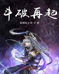 历史小说:斗破再起 历史小说:斗破再起