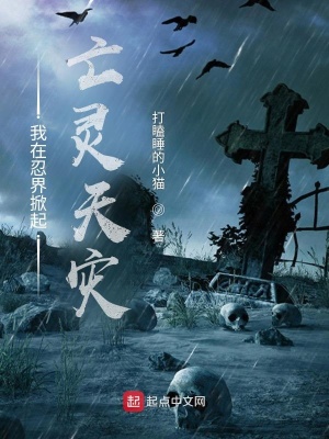 ��ʷС˵:�����̽�������������