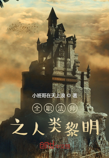 ����С˵:ȫְ��ʦ֮��������