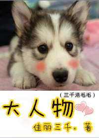 ����С˵:������