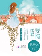 ����С˵:���飬˯����