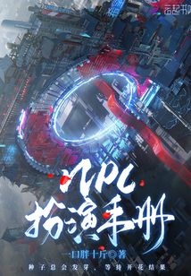 ����С˵:NPC�����ֲ�