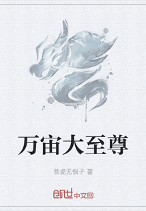 ����С˵:���������