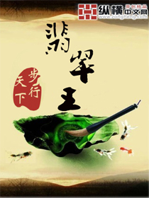 ����С˵:�����