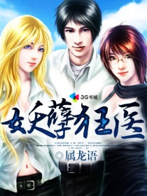 ��ʷС˵:������ҽ