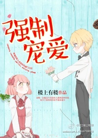 ����С˵:ǿ�Ƴ谮