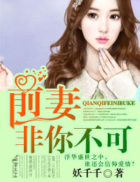 言情小说:前妻,非你不可 言情小说:前妻,非你不可