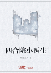 ����С˵:�ĺ�ԺСҽ��