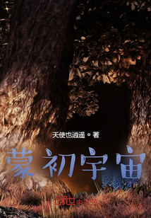 ����С˵:�ɳ�����