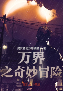 ��ʷС˵:���֮����ð��