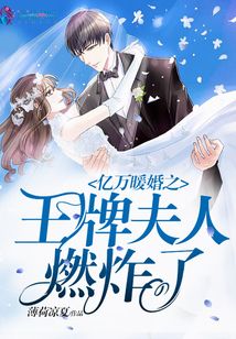 言情小说:亿万暖婚之王牌夫人燃炸了 言情小说:亿万暖婚之王牌夫人燃炸了