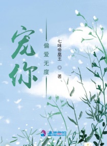 ����С˵:����ƫ���޶�