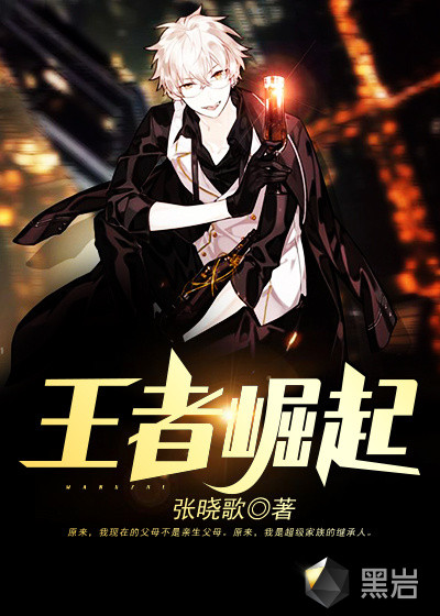 ����С˵:��������