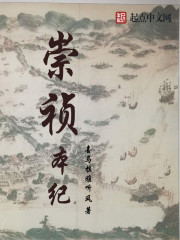 ��ʷС˵:��������