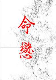 ����С˵:����