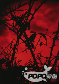 ����С˵:�ڻ����