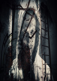 ����С˵:����