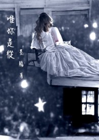 ����С˵:Ψ���Ǵ�