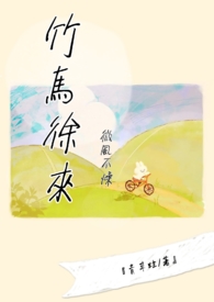 ����С˵:΢�粻���������