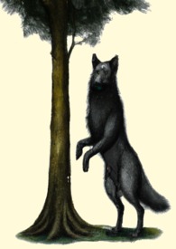 �ƻ�С˵:�F�j�ǰ�