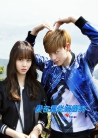 ����С˵:�����ǹ����ʱ