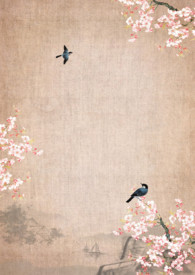 ����С˵:������˵-���㹬