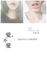 ����С˵:��������