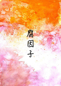 ����С˵:������