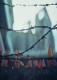 ����С˵:�ڵ�����������