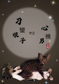 ����С˵:��������vs�Ļ���