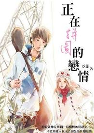 ����С˵:����ƴͼ������