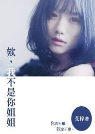 ����С˵:�Ҳ�������