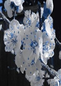 ����С˵:����