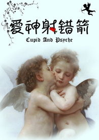 ����С˵:���������