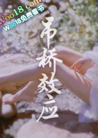 ����С˵:����ЧӦ��ҰսH��