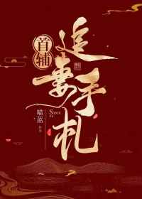 ����С˵:�׸�׷������