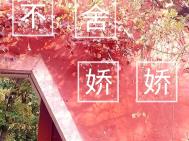 ����С˵:���὿��