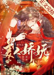 ����С˵:����֮���˽���