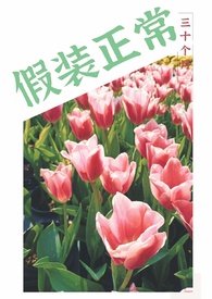 ����С˵:��װ����