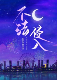 ����С˵:��������