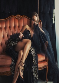 ����С˵:����������