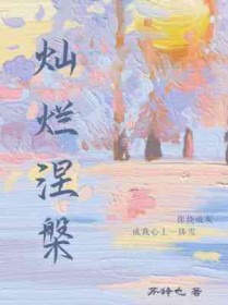 ����С˵:��������