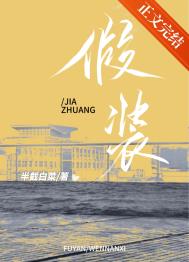 ����С˵:��װ