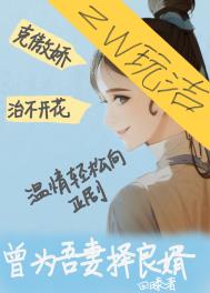 ����С˵:��Ϊ����������/����������������Щ��