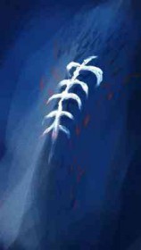 ����С˵:��÷��