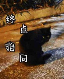 ����С˵:�յ�ָ��